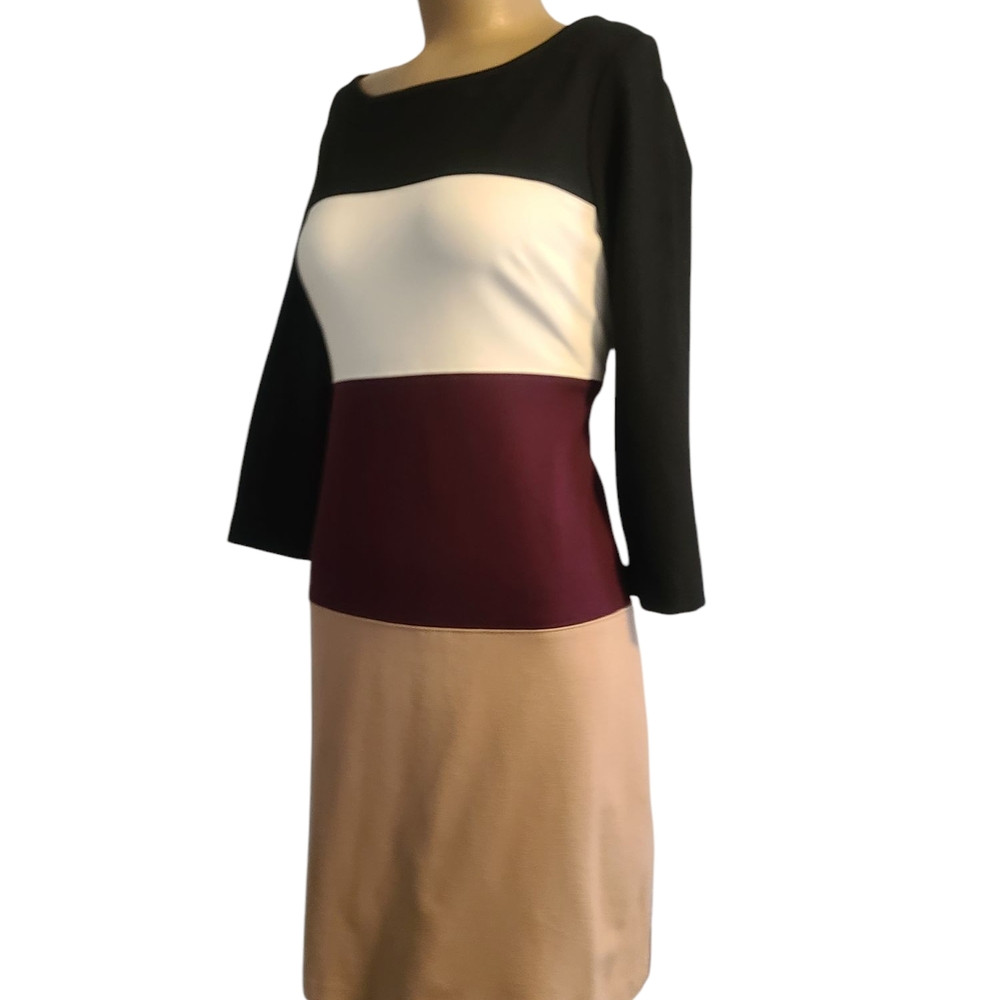 White House Black Market Color Block Dress with Long Sleeves Size 4